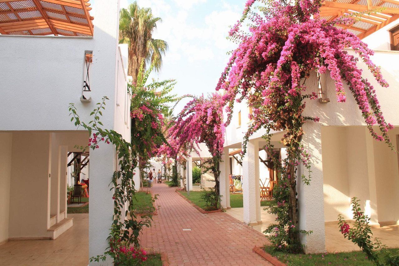 Club Kastalia Holiday Village Конаклы Экстерьер фото